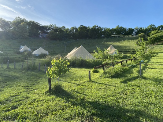 Détente, Prairies, Fruitiers