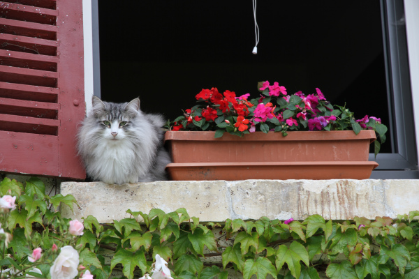 vacances en groupe Aube