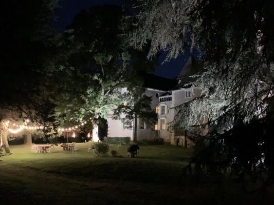 Guirlande parc château