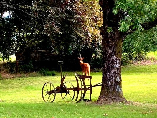 gite en groupe Gîte Bel Air de Rosette