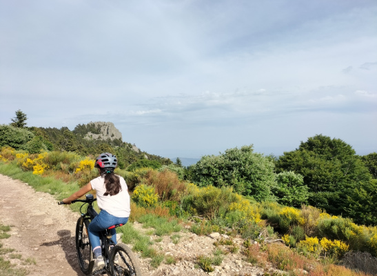 grande capacité Ardèche