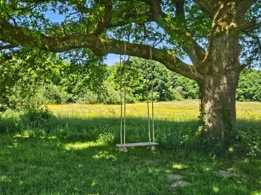 Domaine des Faucheries - Grand chêne avec vue sur le Lac