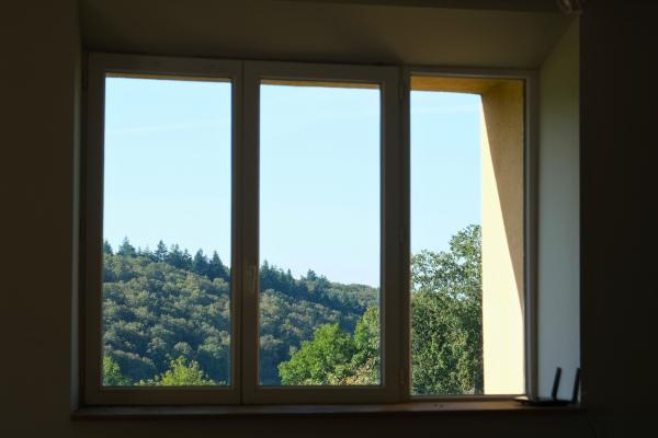 Vue sur la forêt depuis la salle 