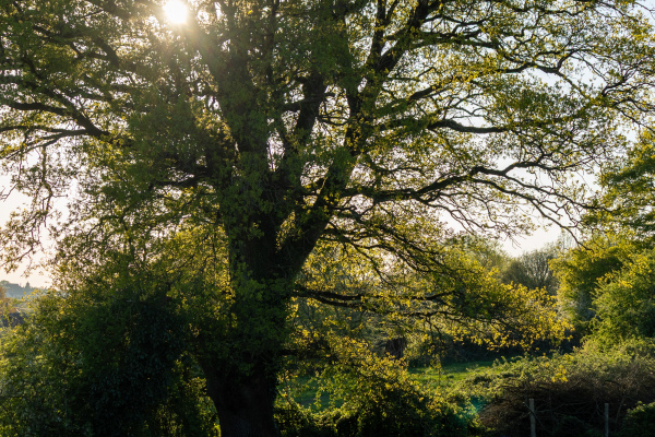 Gîte en pleine nature 