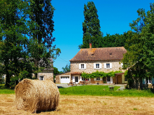 Gîte isolé vue sur la forêt
