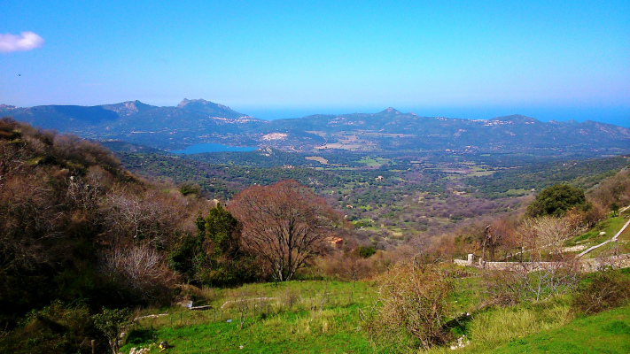 vue depuis la maison