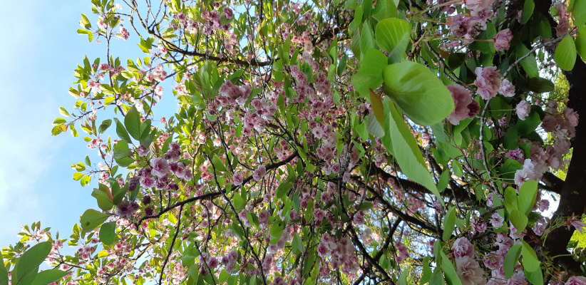 vacances de groupe ILE-DE-FRANCE