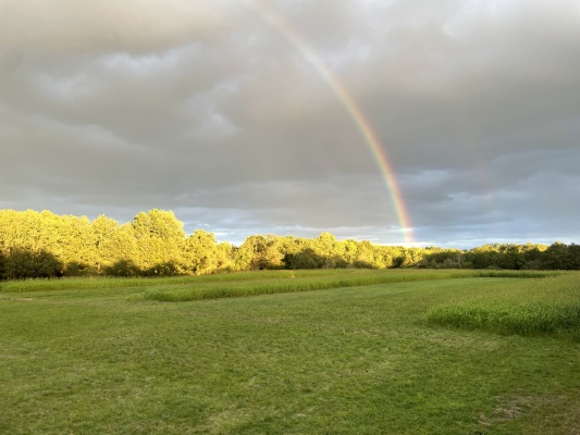 Domaine du Grand Nouer