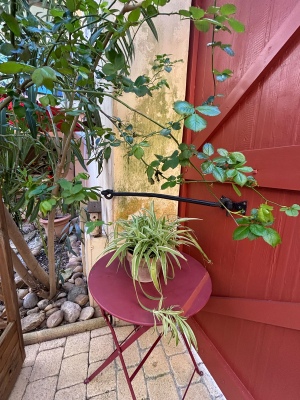 gite en groupe Instant en Provence