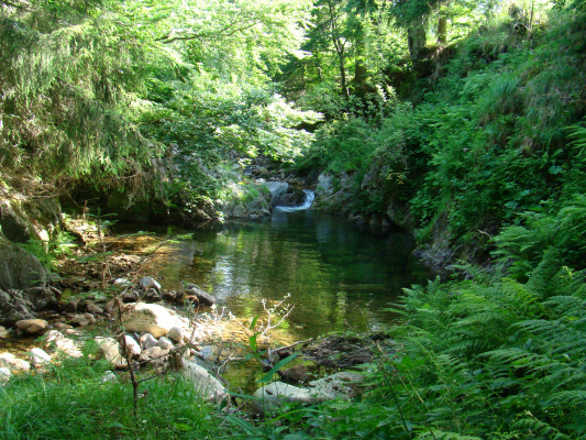 location Ardèche