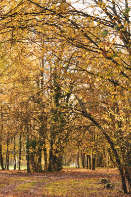hébergement Loir-et-Cher