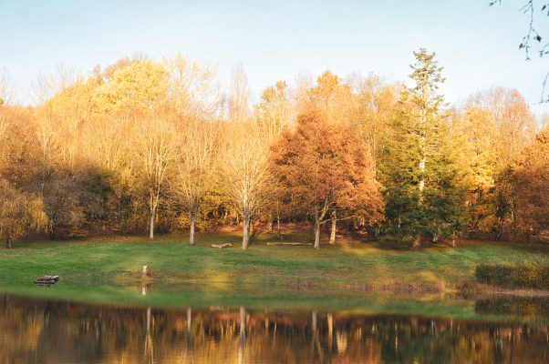 gite france Gîte des Etangs de Beaulieu
