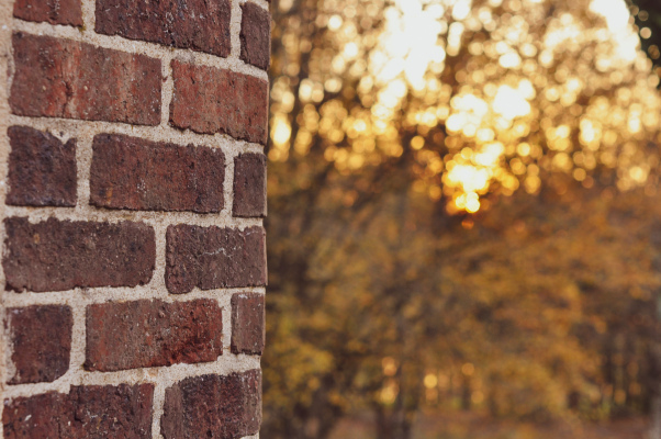 location Gîte des Etangs de Beaulieu