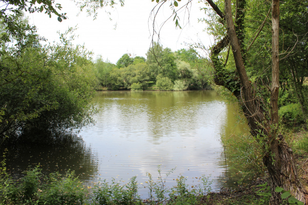 location Gîte des Etangs de Beaulieu