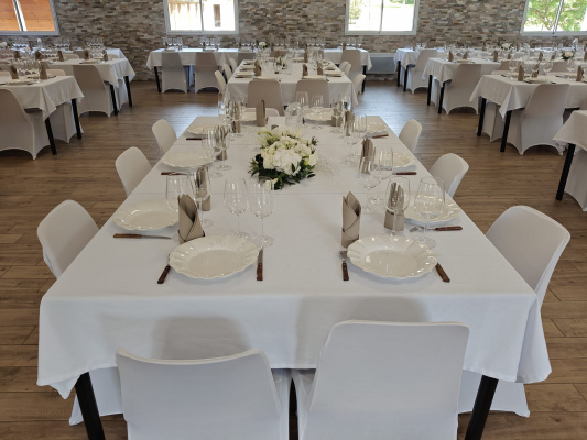 gite CHAMBON-SUR-LIGNON