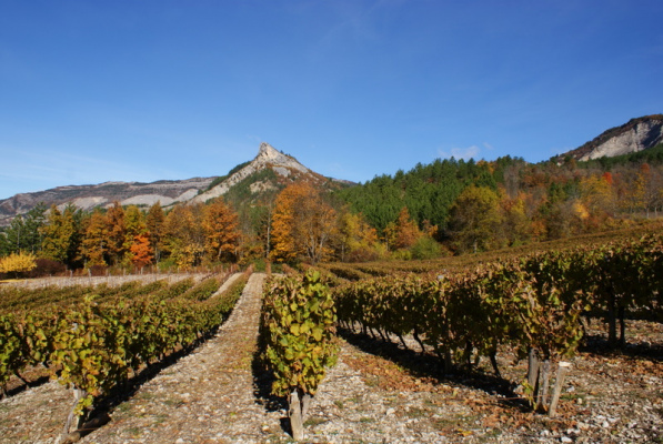 gite france BARSAC