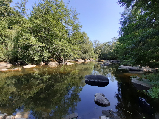 Sèvre Nantaise Moulin Neuf