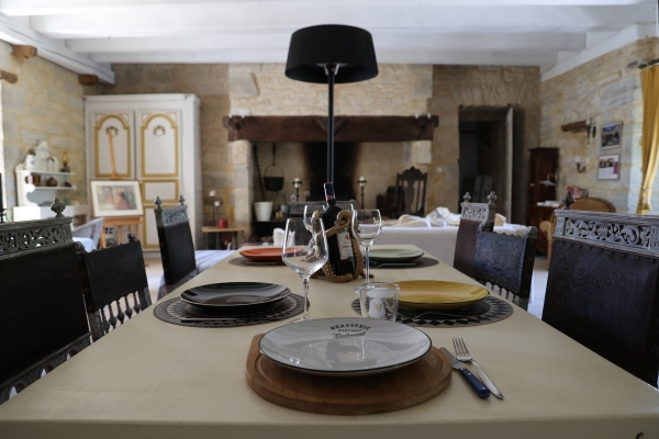 Chateau de Saint Chamarand, grand salon, ludotheque, evenements