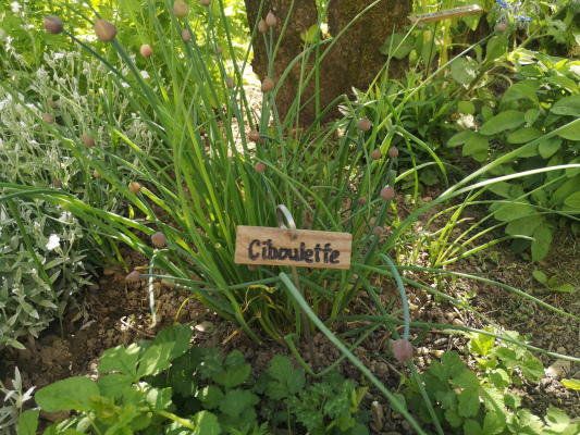 le jardin aromatique