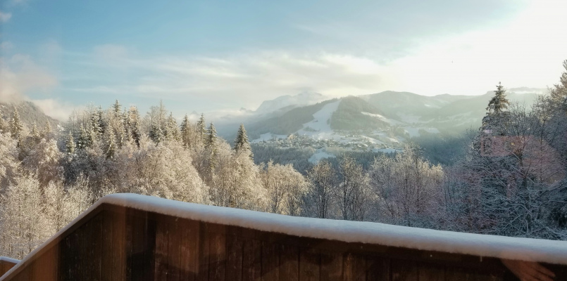 Vue Mont Blanc