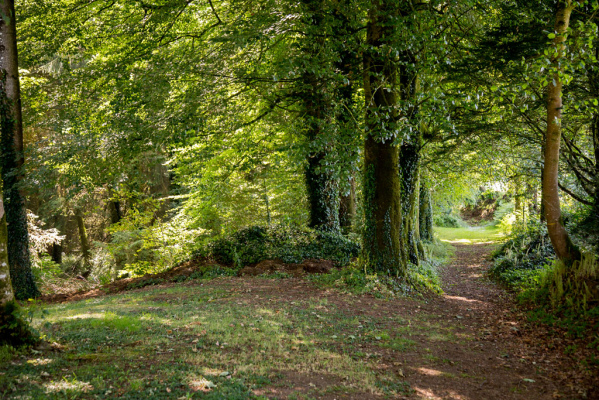 gite de groupe Manoir de Logueltas