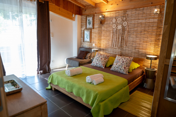 gite de groupe Les Grandes Vignes, 22 personnes, piscine, spa