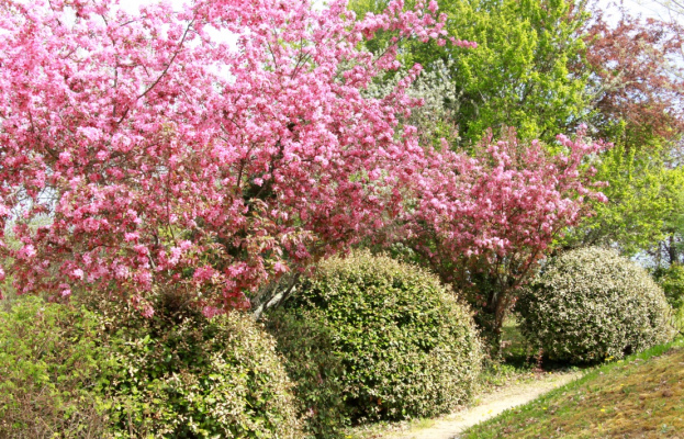 gite france AQUITAINE