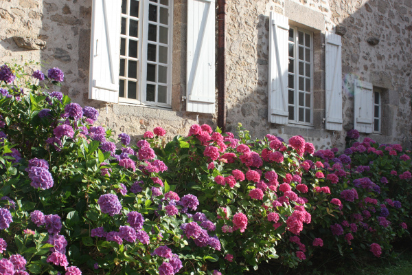 Des fleurs partout !