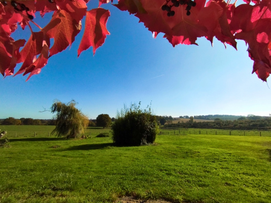 Animations sur demande (Laser game, course d'orientation...)