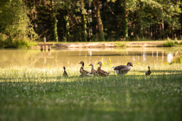 location de groupe Loir-et-Cher
