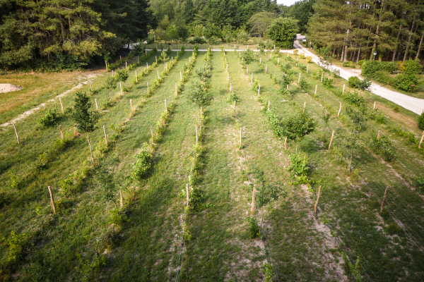 hébergement de groupe Loir-et-Cher