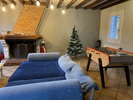 Salon chaleureux avec canapés, cheminée et espace repas