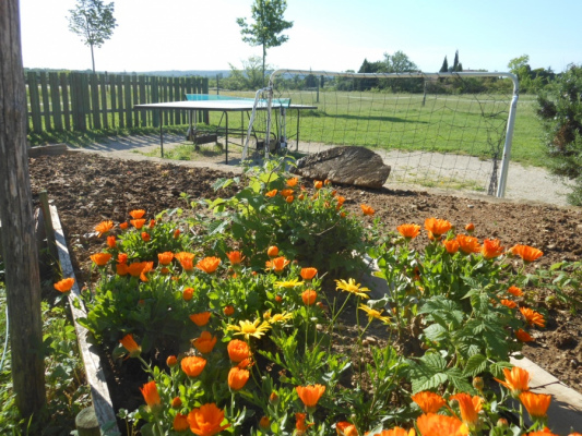 logement de groupe GRAS