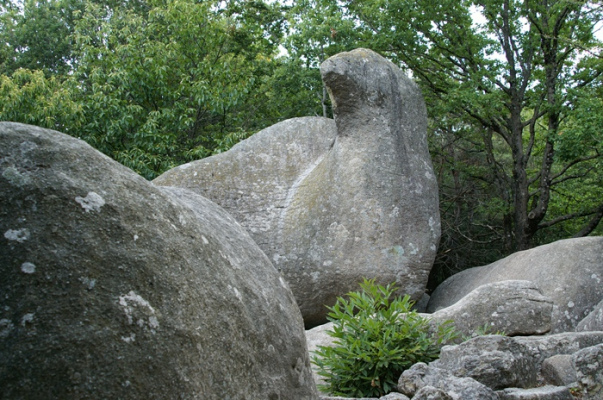 logement de groupe Tarn