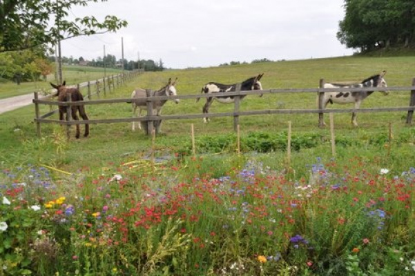 gite de groupe MIDI-PYRENEES