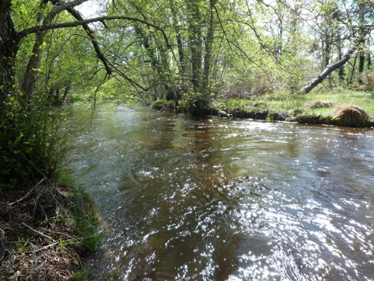 gite france Gîtes Moulin de Marie, 2/12 pers, piscine