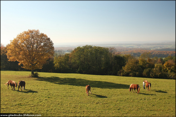 Promenade sur le Mont Adam à Mondon