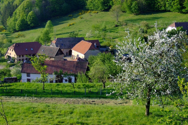 grande capacité Gite