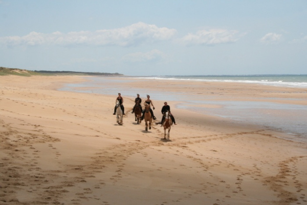 hébergement de groupe Gite, Gite d'étape, Chambre d'hôtes