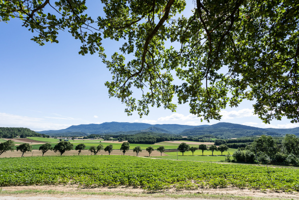 Vue sur la vallée et le Vercors