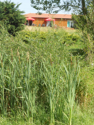 grande capacité les Lodges de Beaulieu