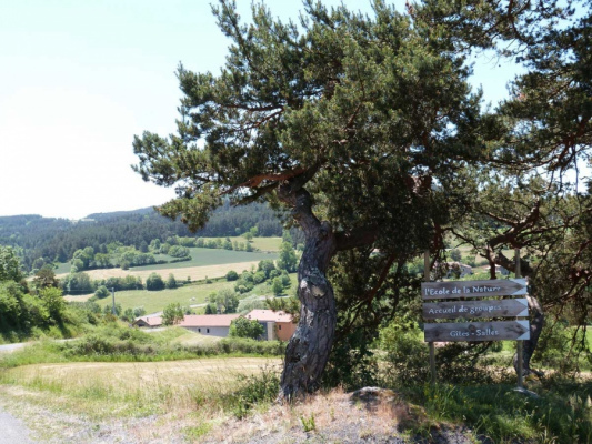hébergement de groupe CHADRON