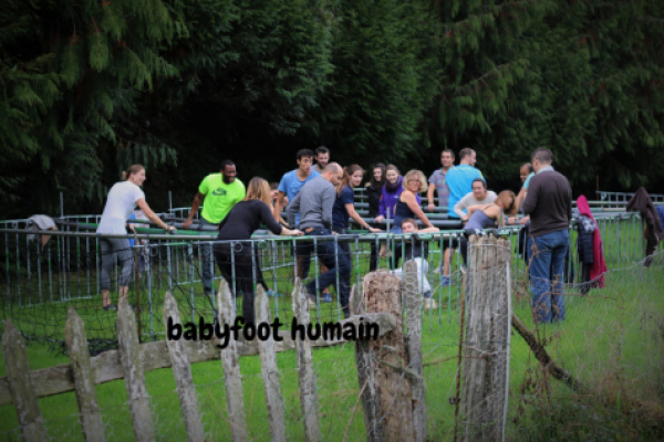 gite france TORCE-VIVIERS-EN-CHARNIE