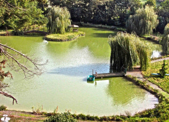 logement Indre-et-Loire