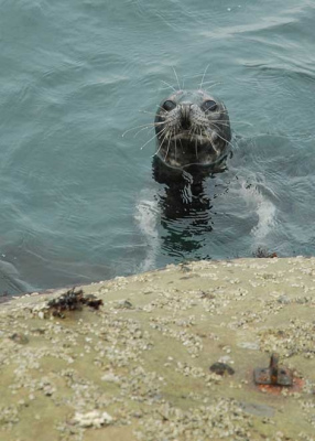 vacances en groupe NORD-PAS-DE-CALAIS