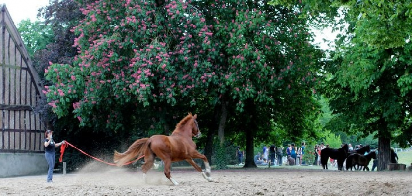 hébergement FERTE-SAINT-CYR