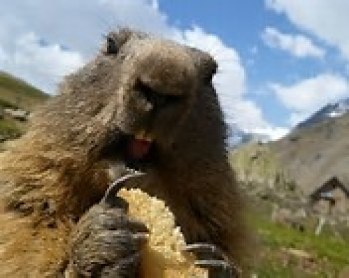 hébergement Hautes-Alpes