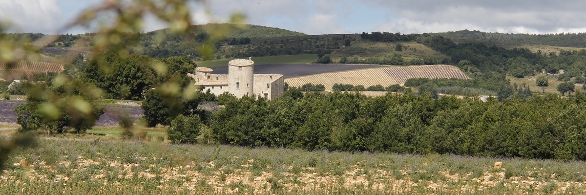 Gîte demi pension 25 pers. gestion libre 10 pers.