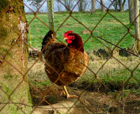 gite pour groupe BRAFFAIS