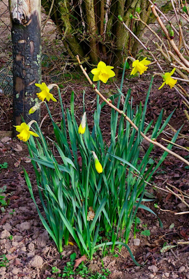 location de vacances  Domaine de Braffais